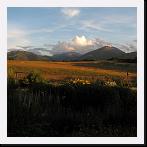 IMG_2731 * 2048 x 1536 * (667KB)