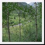 IMG_2781 * 2048 x 1536 * (1.18MB)