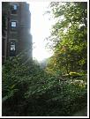 IMG_6402 * 1944 x 2592 * (2.05MB)