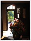 IMG_6466r * 2035 x 2660 * (1.64MB)