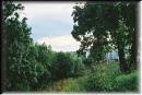 092Img133 * 640 x 433 * (60KB)