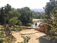Next image