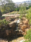 Next image
