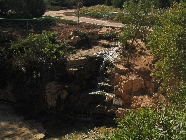 Next image