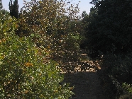 Next image