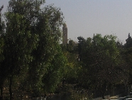 Next image