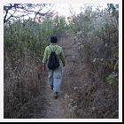 IMG_3711 * 2048 x 1536 * (1.12MB)