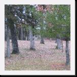 IMG_1076 * 2048 x 1536 * (1.4MB)