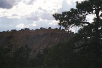 Previous image