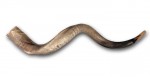 Shofar